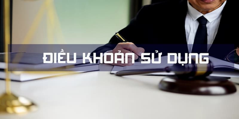 Các nội dung chính trong Điều khoản sử dụng