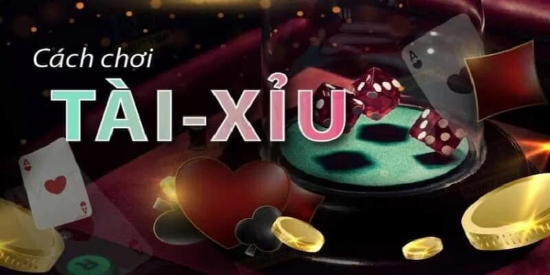 Tài xỉu livestream Chiến thuật cược gấp thếp
